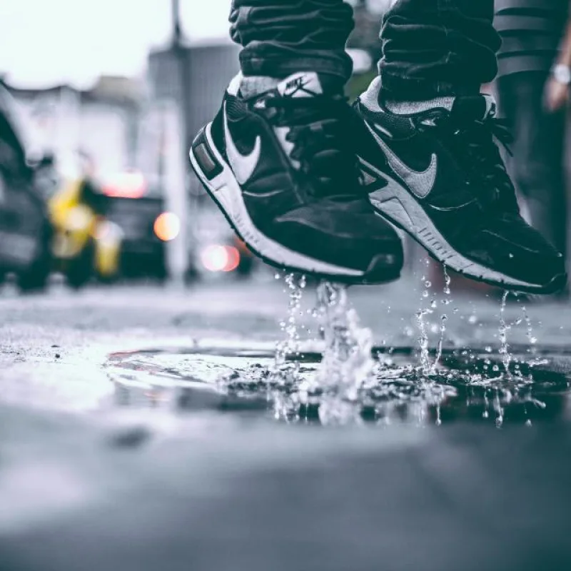 Calzado-Zapatos