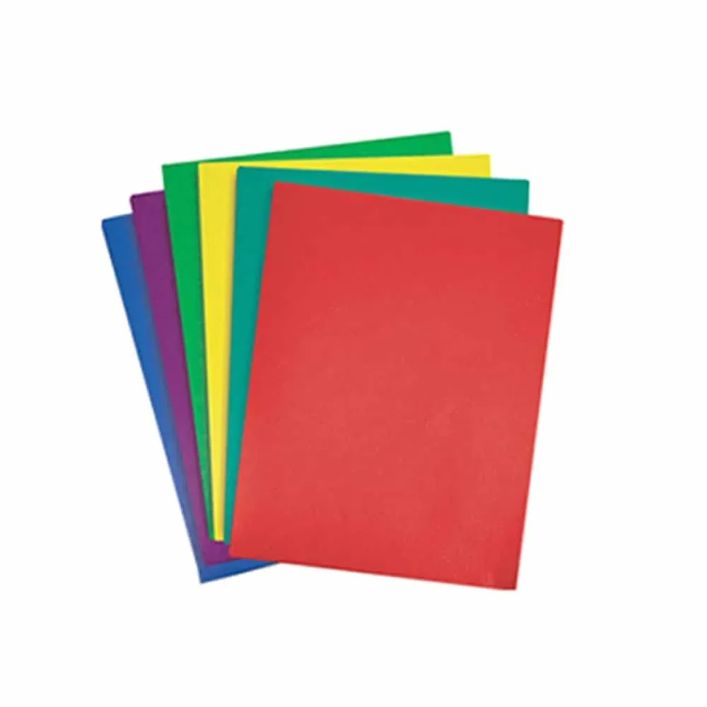 1pza Folder / carpeta de colores 600g