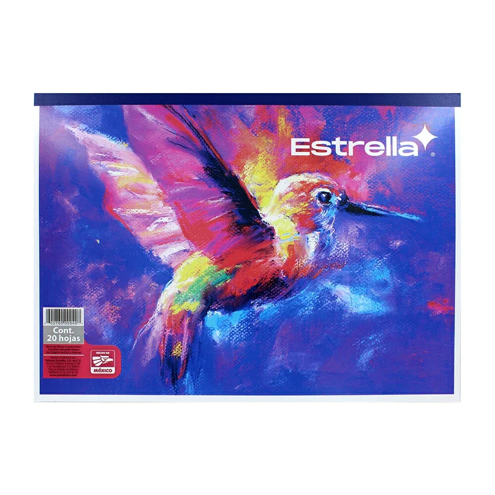 Libro cuaderno cosido estrella con 20 hojas lisas blancas tipo cartulina para dibujo constructivo 33.3x24.6cm, variedad de diseños / 000407
